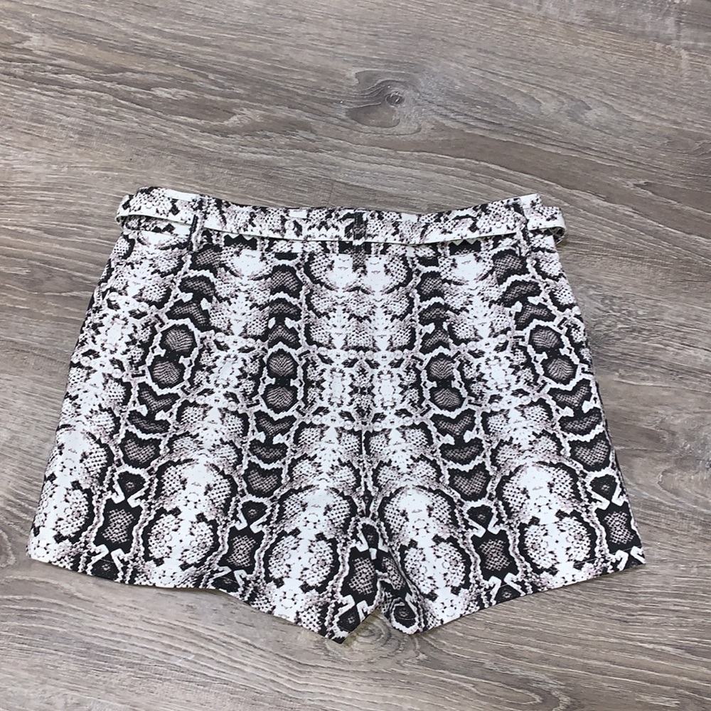 Express shorts - Picture 2 of 7